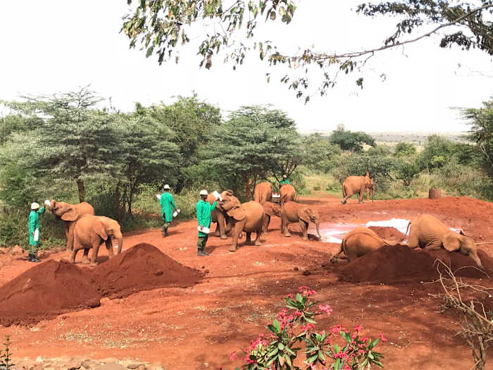 Oct_mudbath & soft soil (2) - GALLERY.jpg